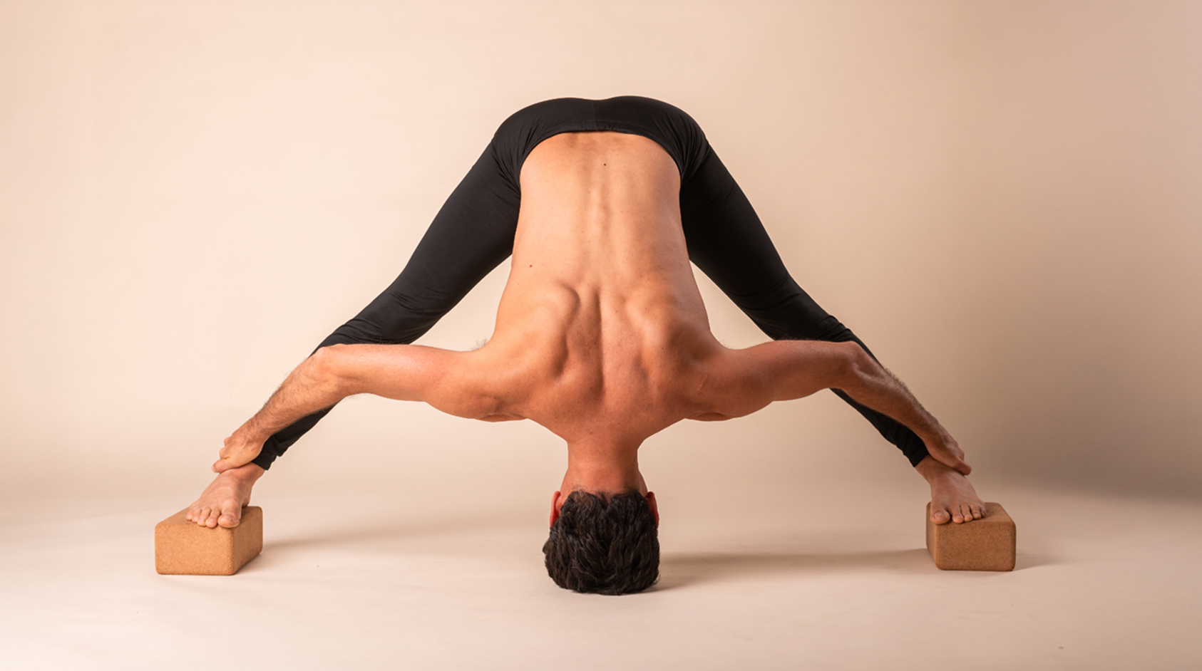 Yoga Medicinal: Renovação