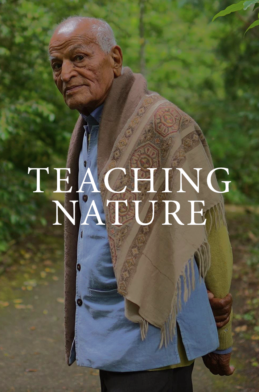 Teaching Nature
