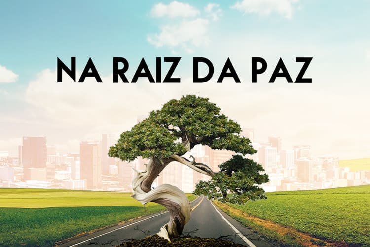 Na Raiz da Paz