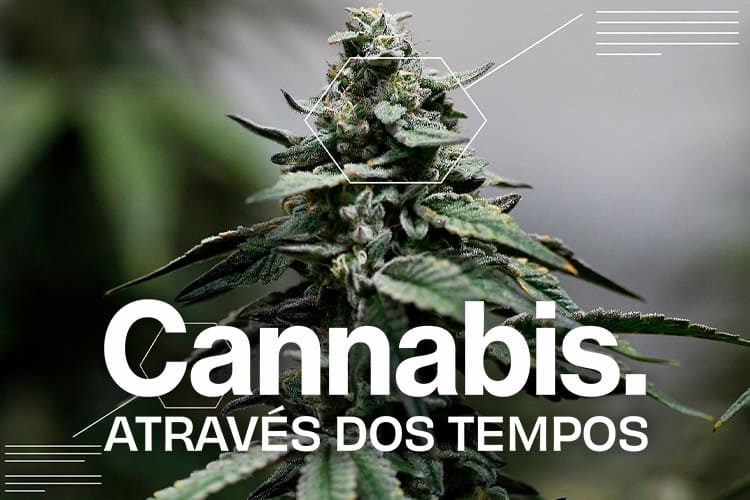 Cannabis: Através dos Tempos
