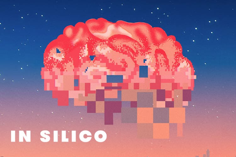 In Silico: Desvendando o Cérebro Humano