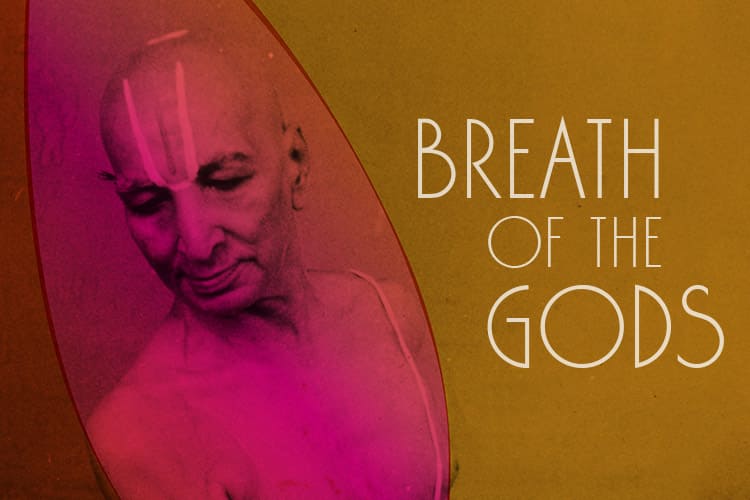 Breath of the Gods: Uma Jornada às Origens da Yoga Moderna
