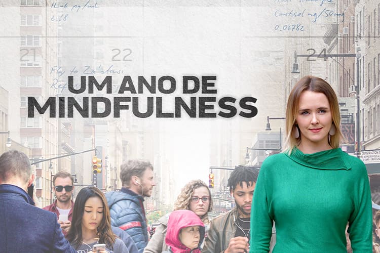 Um Ano de Mindfulness