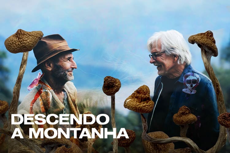 Descendo a Montanha