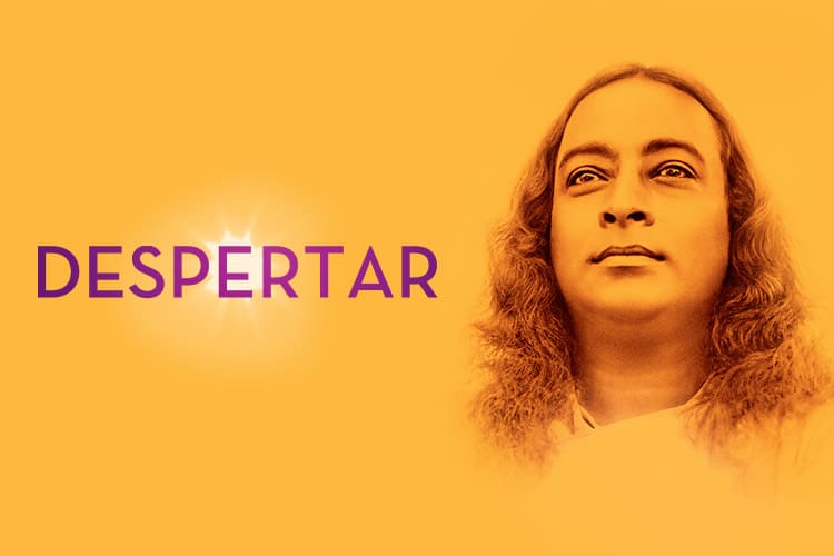 Despertar: A Vida de Yogananda