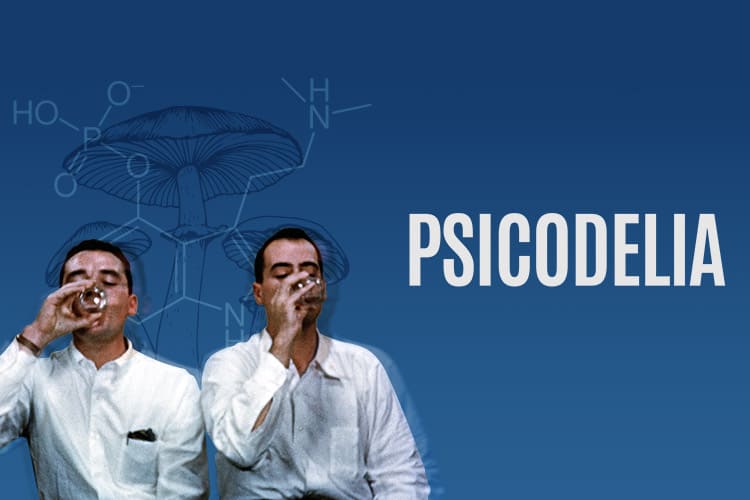 Psicodelia: A História e a Ciência da Experiência Mística