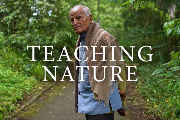 Teaching Nature