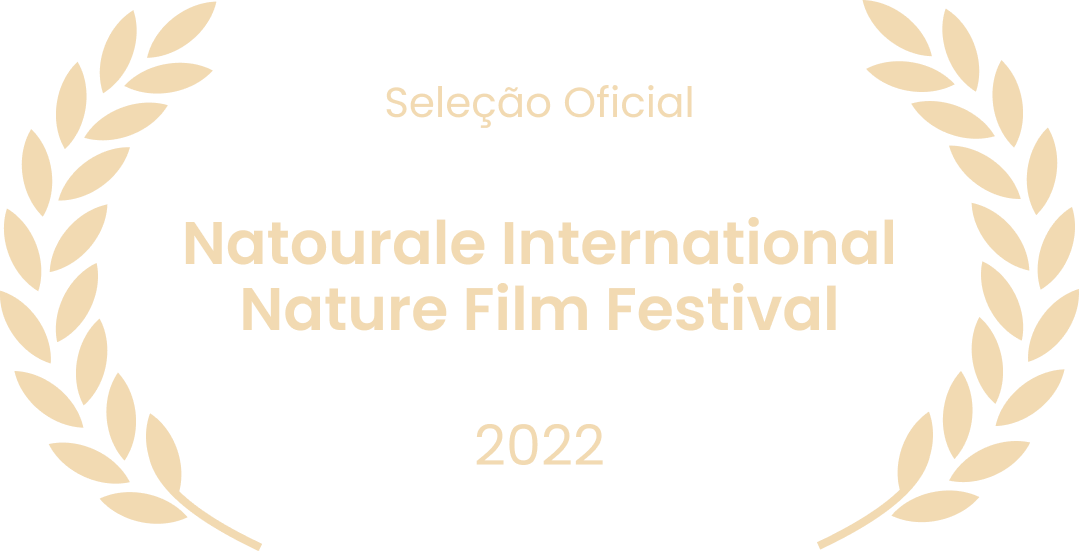 Selo de premiação