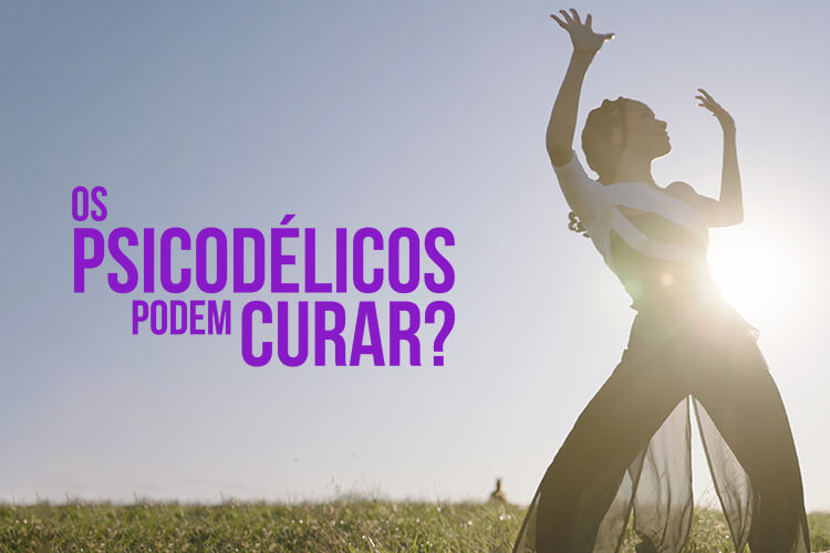 Os Psicodélicos Podem Curar
