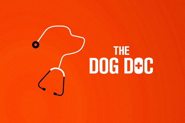 The Dog Doc