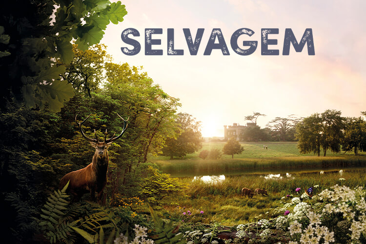 Selvagem
