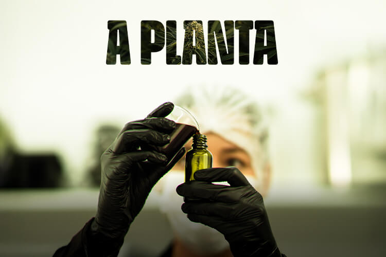 A Planta