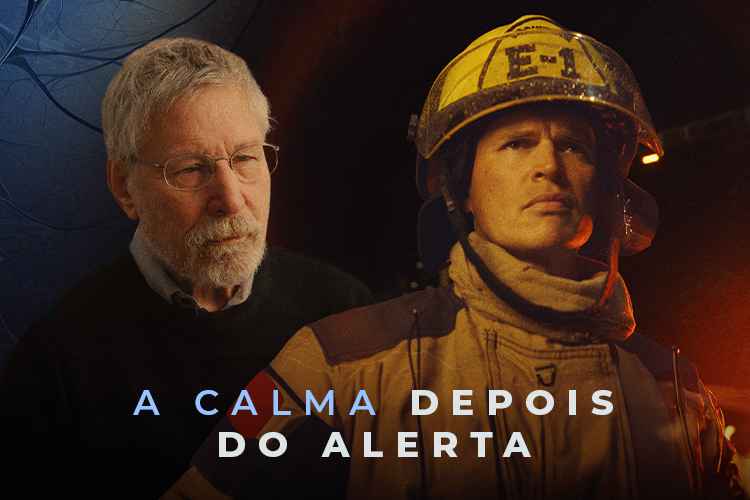 A Calma Depois do Alerta