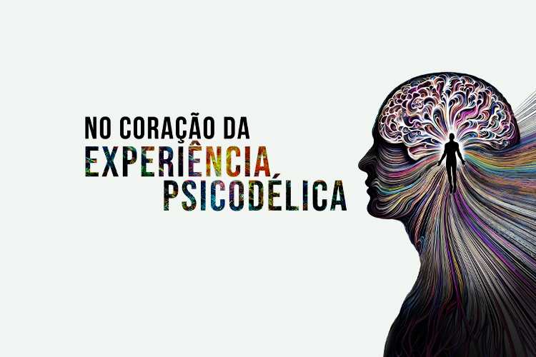 No Coração da Experiência Psicodélica
