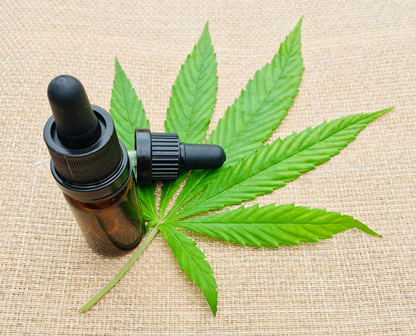 Cannabis medicinal no Brasil: Onde estamos, para onde vamos