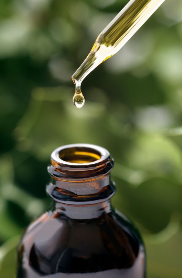 Uma planta, mil efeitos: o que a cannabis revela sobre o corpo humano e sobre os limites da medicina moderna?