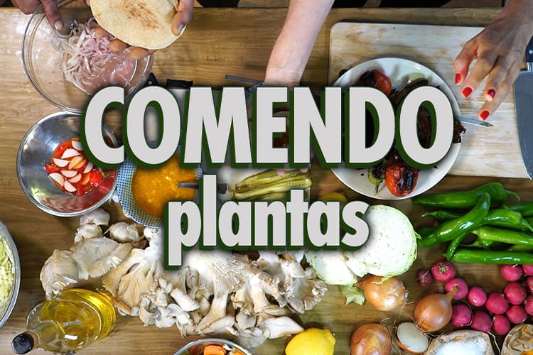 Comendo Plantas
