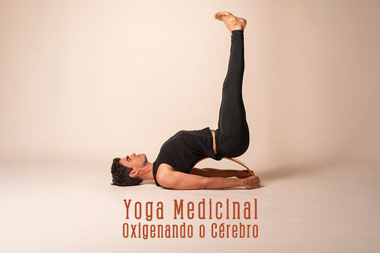 Terra Tigre: Yoga Medicinal